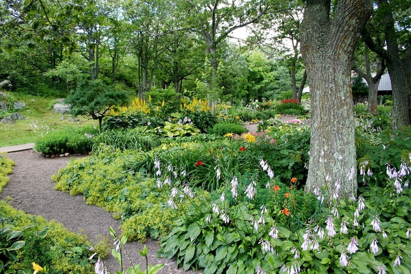Backyard Escape
